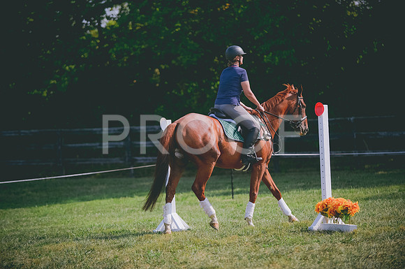 JJS_3271