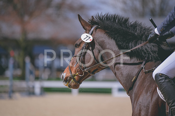 MEL_0403 2