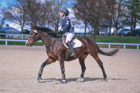 MEL_0419