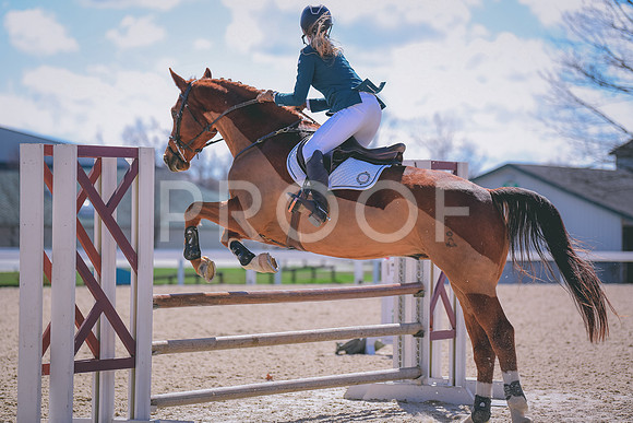 MEL_2165