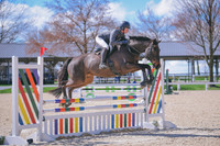 MEL_2189
