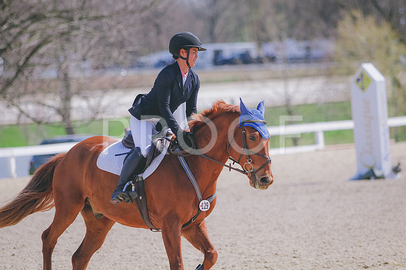 281A3878