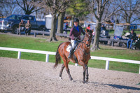 MEL_3406