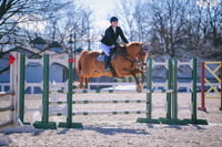 MEL_3176