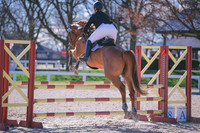 MEL_3206