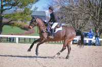 MEL_2937