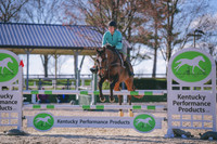 MEL_3851