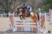 Kara Thompson/Rolli Coaster