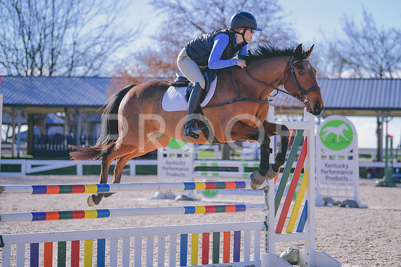 MEL_3623