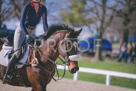 MEL_3648