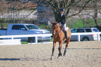 Vivian Pierce/Fernhill Saulsford Nazar
