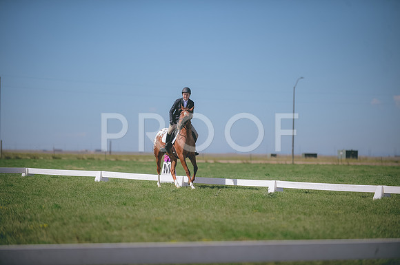 JJS_2117