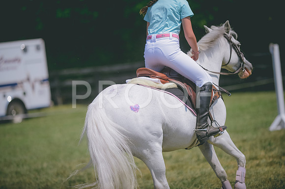 JJS_3547