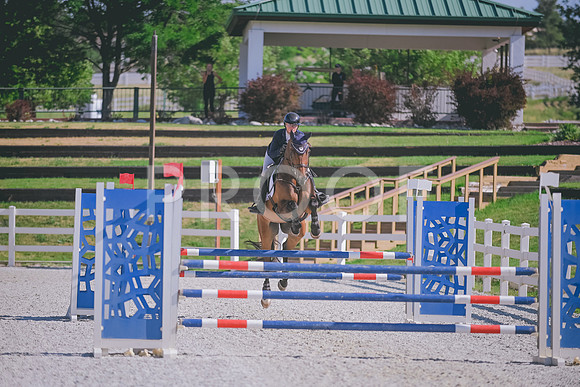 DSC_8278