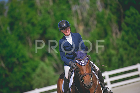 DSC_8402 copy