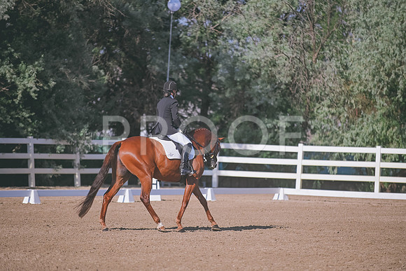 DSC_5097