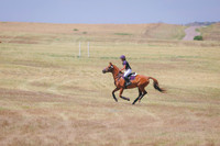1C1A0985