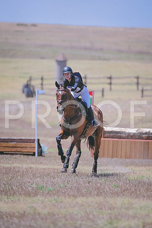 DSC_2432 copy