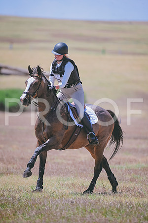DSC_3323
