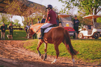 DSC06905