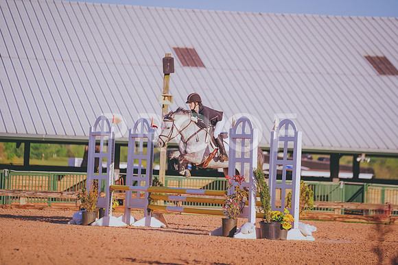DSC06993