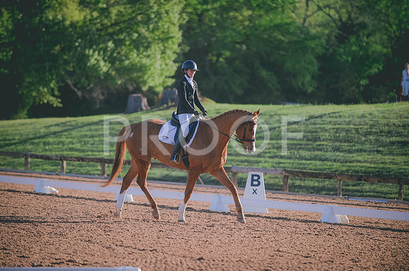 000_5206