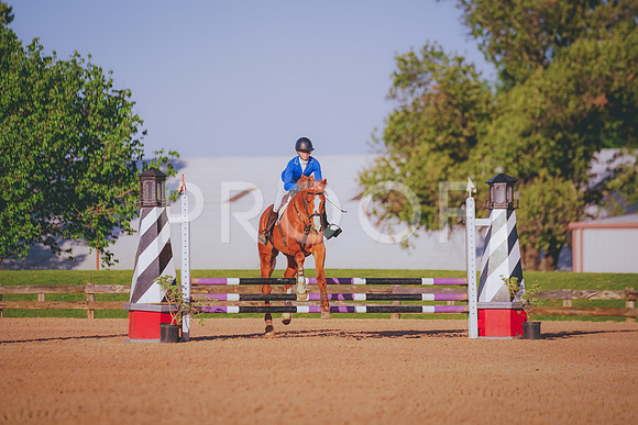 DSC07083