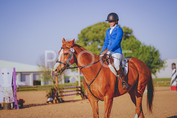 DSC07104