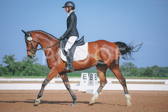 RWP_3853