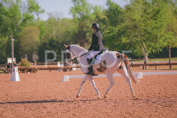 IMG_3401