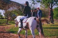DSC07287