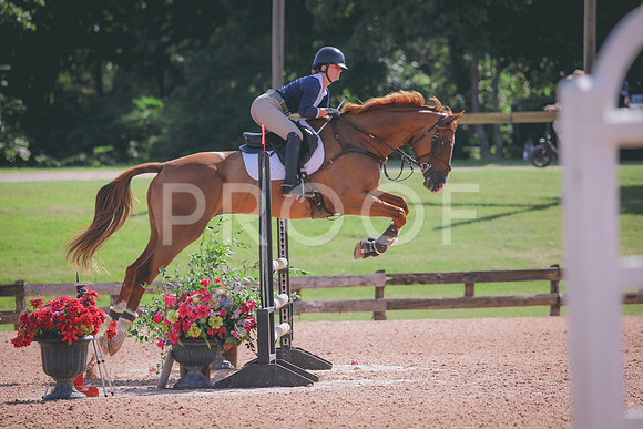 RWP_4837