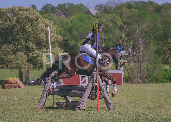 IMG_2201