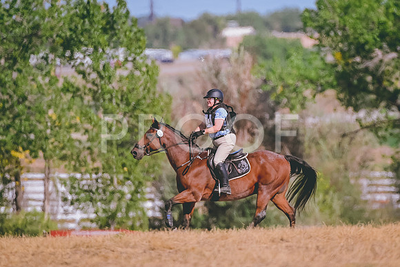 DSC_2400