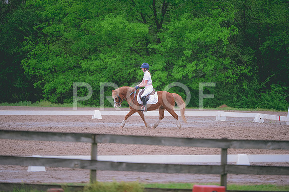 JJS_0559