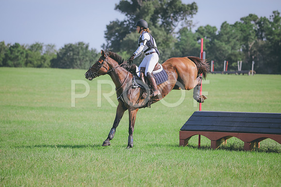 RWP_6235