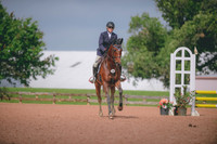 Laura Mann/Problem Solved