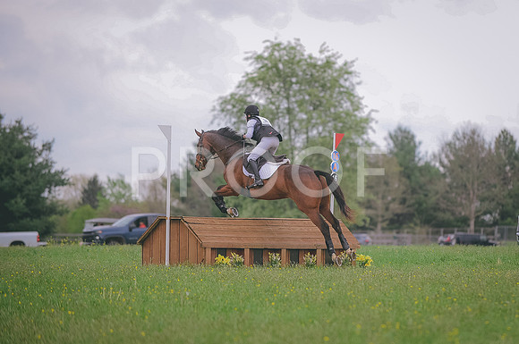 000_6652