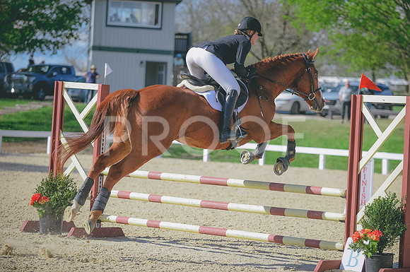 000_2429