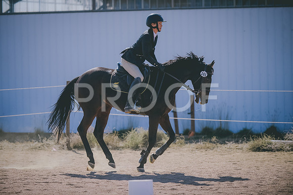 JJS_6824