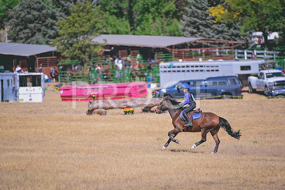 DSC_2932A