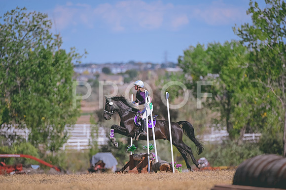 DSC_1333A