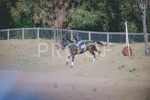 JJS_0005