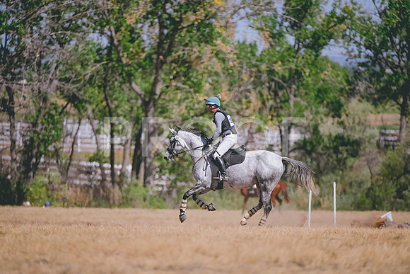DSC_5848A