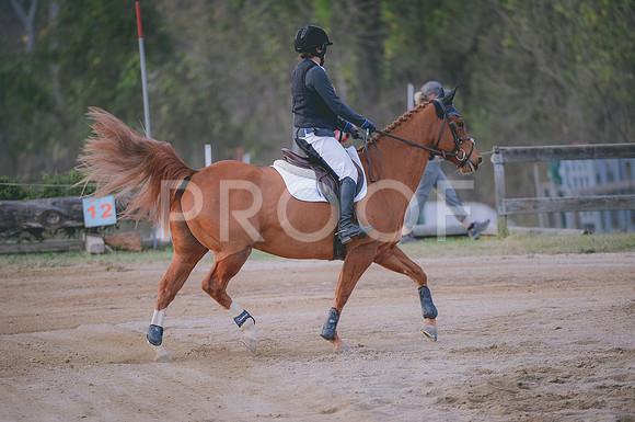 JJS_1209