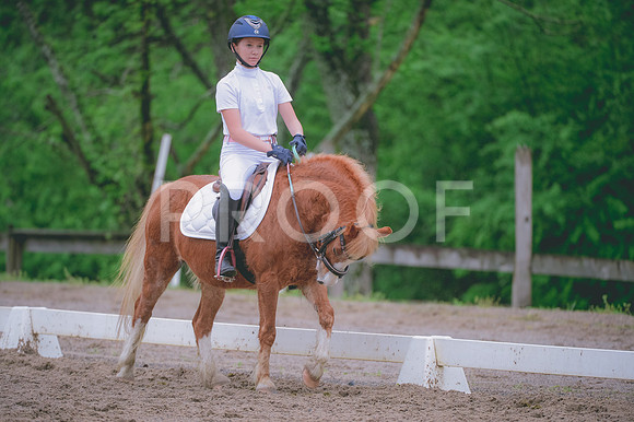 JJS_0647