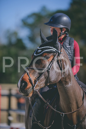 JJS_5908