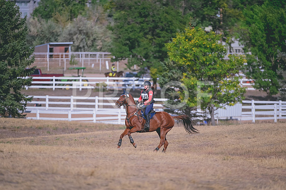 DSC_2761