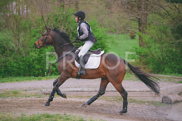 MEL_0461