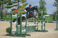 Jennifer Wright/Wind Hill Debonair